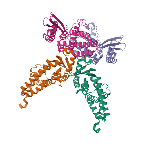 RCSB PDB 8YL8 Crystal Structure Of The De Novo Designed Protein 200