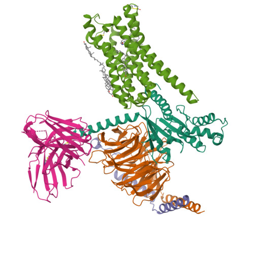 RCSB PDB 8YN8 Cryo EM Structure Of Histamine H3 Receptor In Complex