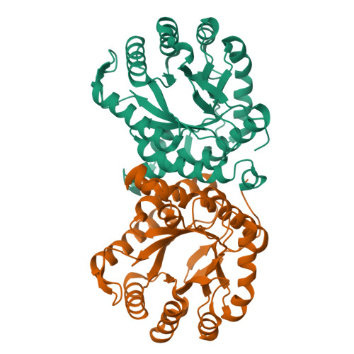 Rcsb Pdb Z U Crystal Structure Of The Methermicoccus Shengliensis