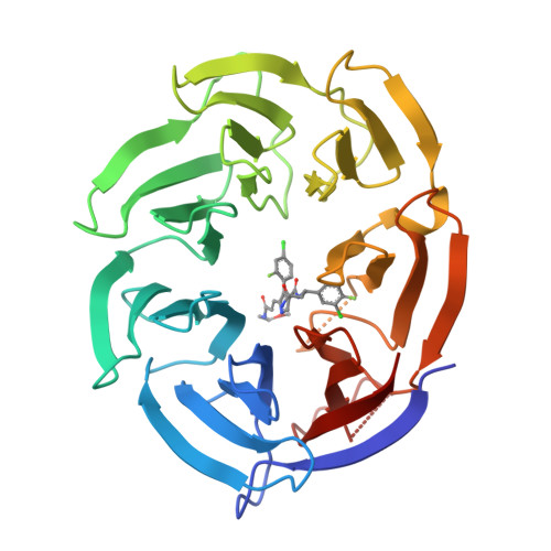 RCSB PDB 9BHR Crystal Structure Of The WDR Domain Of Human DCAF1 In