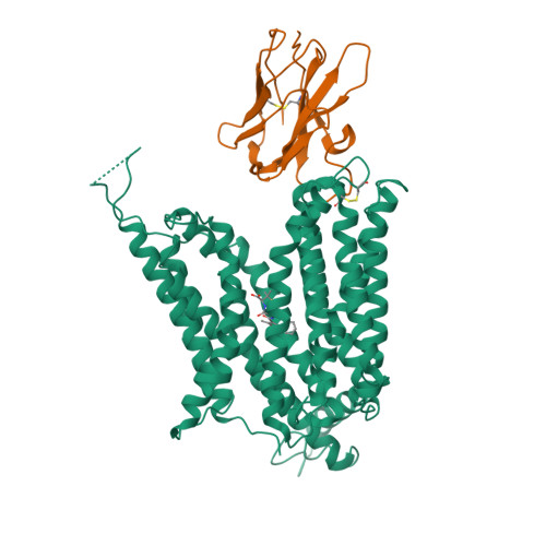 Rcsb Pdb Biu Cryo Em Structure Of The Mammalian Peptide Transporter