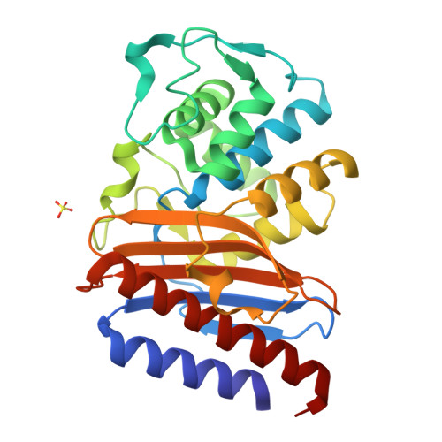 RCSB PDB 9BZN High Resolution Structure Of Class A Beta Lactamase