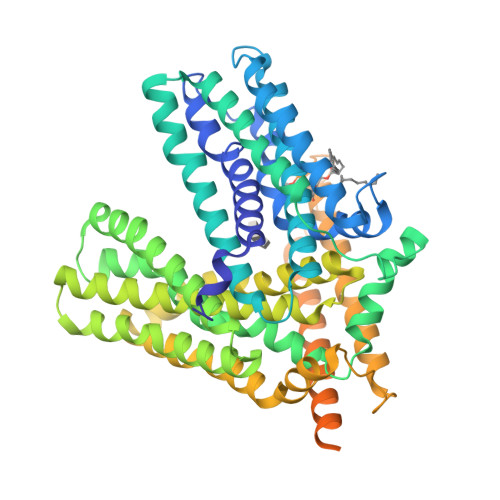 Rcsb Pdb C F Cryo Em Structure Of E Coli Ampg