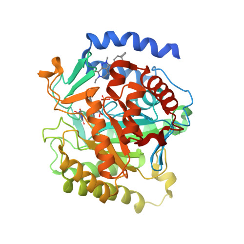 Rcsb Pdb Dky Crystal Structure Of Plasmodium Falciparum