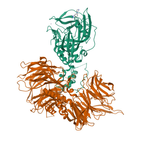 Rcsb Pdb Dqd Cryo Em Structure Of Human Cereblon Ddb In Complex