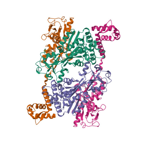 Rcsb Pdb F The Crystal Structure Of Full Length Tetramer Cysb