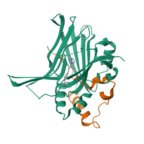 Rcsb Pdb Fza Tead Yap In Complex With A Reversible Inhibitor N