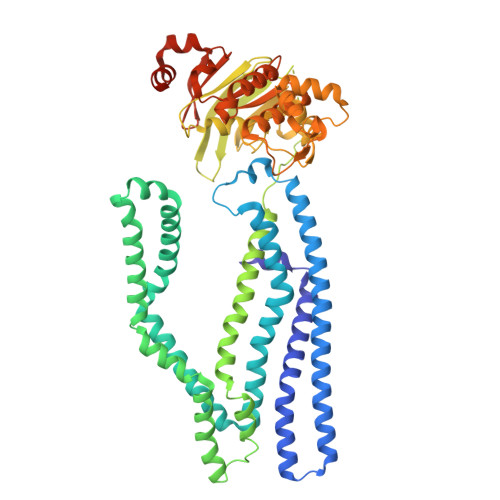 Rcsb Pdb G Cryo Em Structure Of Irtab Xhtoa Mutant In Inward