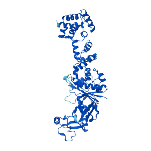 RCSB PDB AF AFA0RR62F1 Computed Structure Model Of Glutamate TRNA