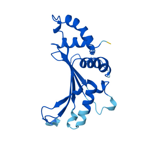 RCSB PDB AF AFA5FRX3F1 Computed Structure Model Of 50S Ribosomal