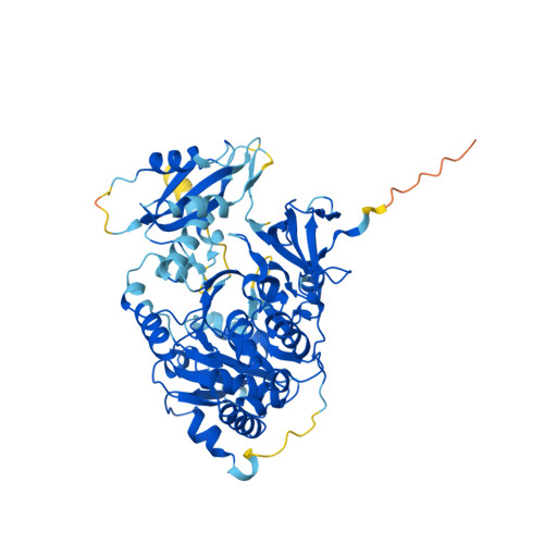 RCSB PDB AF AFK7UE06F1 Computed Structure Model Of 4 Coumarate CoA