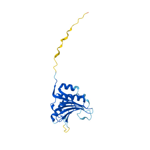 Rcsb Pdb Af Afo F Computed Structure Model Of Eukaryotic