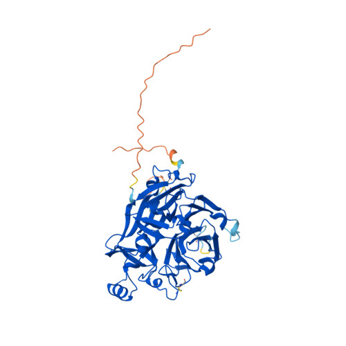 Rcsb Pdb Af Afo F Computed Structure Model Of Major Royal Jelly