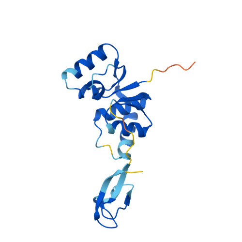 Rcsb Pdb Af Afo F Computed Structure Model Of Endoribonuclease Nob