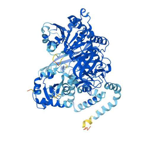 Rcsb Pdb Af Afo F Computed Structure Model Of Long Chain Fatty