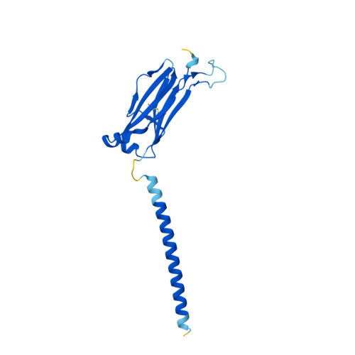 RCSB PDB AF AFP01851F1 Computed Structure Model Of T Cell Receptor