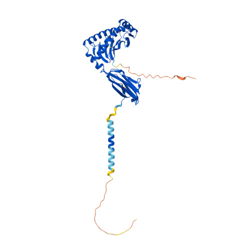 RCSB PDB AF AFP06140F1 Computed Structure Model Of RLA Class I