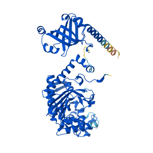 Rcsb Pdb Af Afp A N F Computed Structure Model Of Lysine Trna Ligase