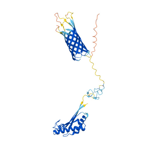 RCSB PDB AF AFP13794F1 Computed Structure Model Of Outer Membrane