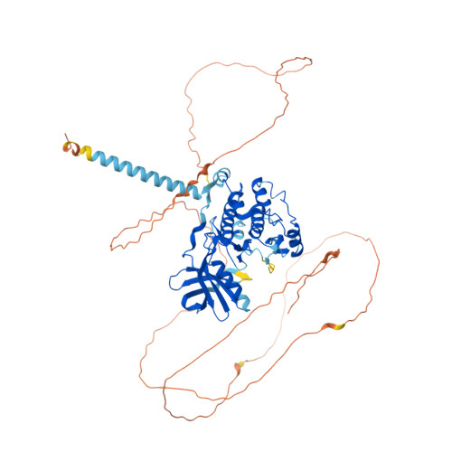 RCSB PDB AF AFP20689F1 Computed Structure Model Of Myosin Light