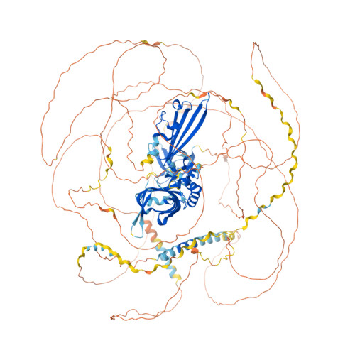 Rcsb Pdb Af Afp F Computed Structure Model Of Myosin Tail