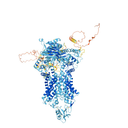 Rcsb Pdb Af Afp F Computed Structure Model Of Atp Dependent