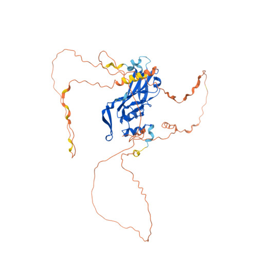 RCSB PDB AF AFP70323F1 Computed Structure Model Of T Box