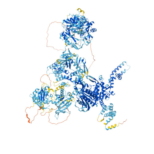 Rcsb Pdb Af Afq F Computed Structure Model Of Acetyl Coa