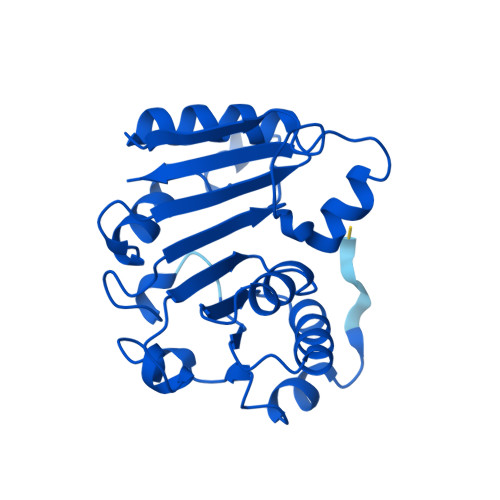 RCSB PDB AF AFQ8NZU4F1 Computed Structure Model Of TRNA Guanine N 7