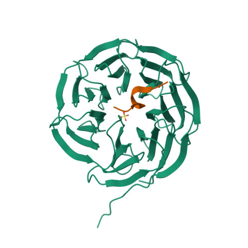 RCSB PDB 7BED X Ray Structure Of WDR5 Bound To The WDR5 Win Motif