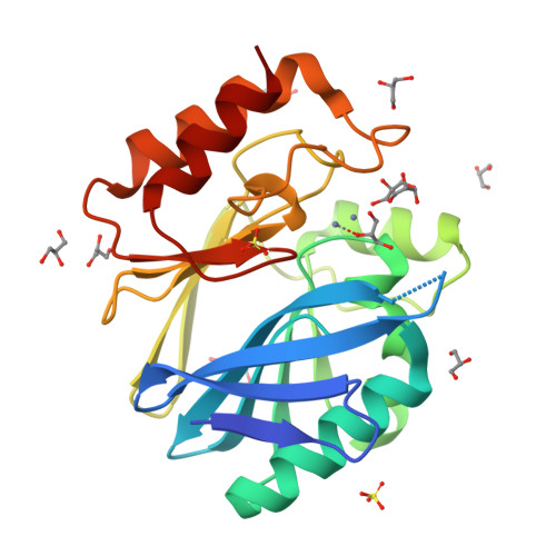 Rcsb Pdb 2bg2 Bacillus Cereus Metallo Beta Lactamase ii Arg 121 Cys Mutant Solved At Ph4 5 Using mm Znso4 In The Buffer 1mm Dtt And 1mm Tcep Hcl Were Used As Reducing Agents