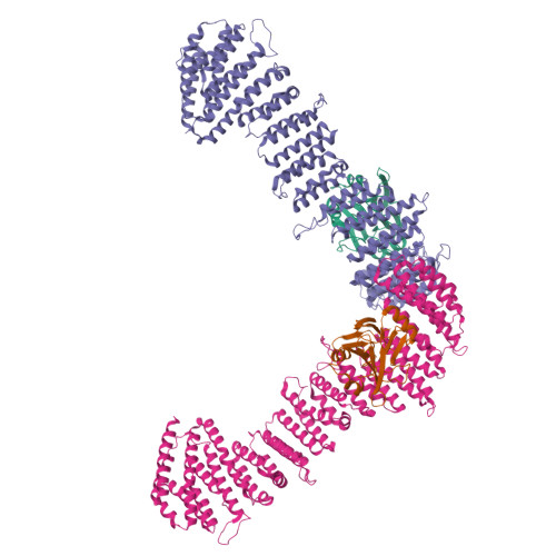 Rcsb Pdb Bln Vps Vps Arch Of Metazoan Membrane Assembled