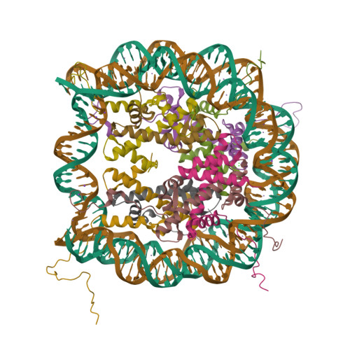 RCSB PDB 1EQZ X RAY STRUCTURE OF THE NUCLEOSOME CORE PARTICLE AT 2 5