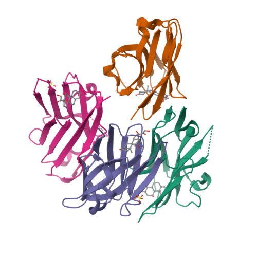 Rcsb Pdb Itq Crystal Structure Of Cortisol Complexed With Its