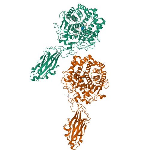 Rcsb Pdb 1kfg The X Ray Crystal Structure Of Cel9g From Clostridium Cellulolyticum Complexed With A Thio Oligosaccharide Inhibitor