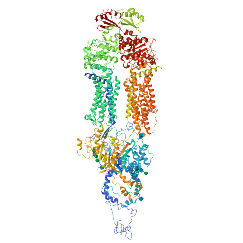 Rcsb Pdb M P Human Abca Structure In The Unbound State