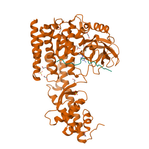 RCSB PDB 6MBK SETD3 A Histidine Methyltransferase In Complex With