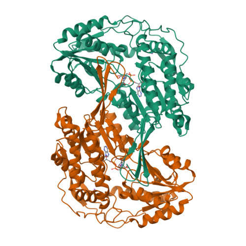 RCSB PDB 7MJC Crystal Structure Analysis Of ALDH1B1