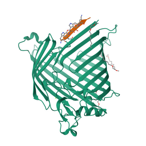 Rcsb Pdb Nre Crystal Structure Of E Coli Bama Beta Barrel In