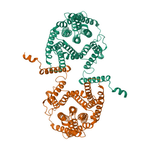 Rcsb Pdb P I Cryo Em Structure Of Bison Nha In Detergent And N