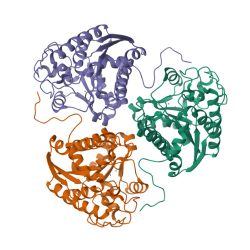 Rcsb Pdb P M Structural And Functional Importance Of First Shell