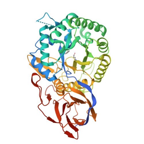 RCSB PDB 7PSK Crystal Structure Of Beta Glucuronidase From