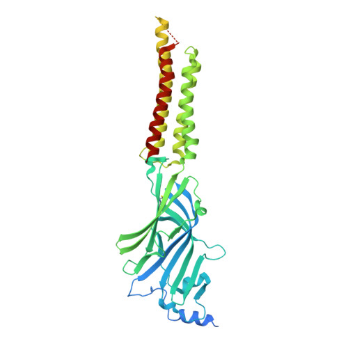 RCSB PDB 7QN5 Cryo EM Structure Of Human Full Length Extrasynaptic