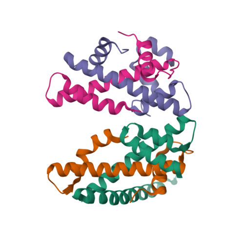 Rcsb Pdb 3vh5 Crystal Structure Of The Chicken Cenp T Histone Fold Cenp W Cenp S Cenp X Heterotetrameric Complex Crystal Form I