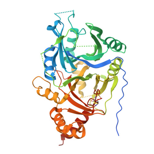 Rcsb Pdb Xgk Crystal Structure Of Arabidopsis Thaliana