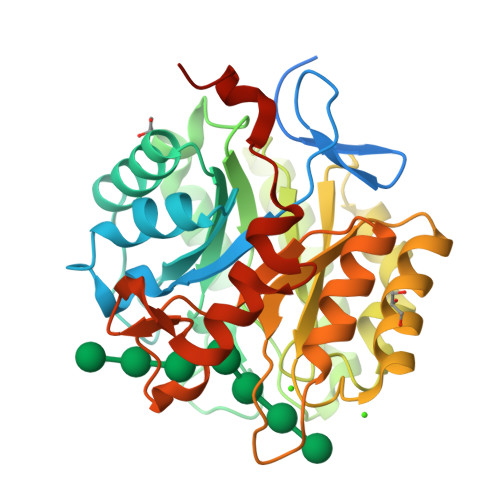 Rcsb Pdb 4y7e Crystal Structure Of Beta Mannanase From Streptomyces Thermolilacinus With Mannohexaose