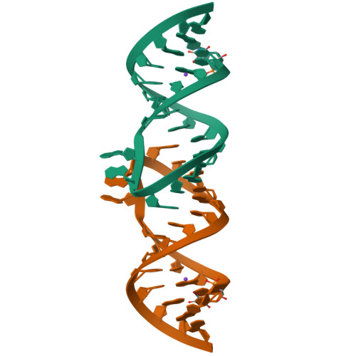 Rcsb Pdb 1zci Hiv 1 Dis Rna Subtype F Monoclinic Form