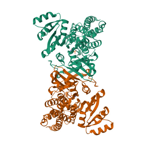 Rcsb Pdb Zqf Crystal Structure Of Dox P Reductoisomerase