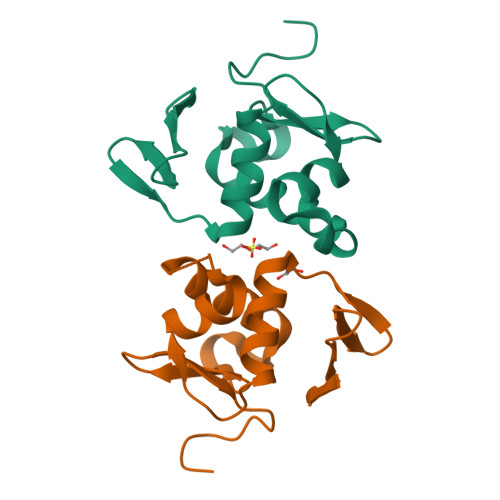 Rcsb Pdb Zwt Crystal Structure Of Dna Binding Domain Of Ompr Of Two