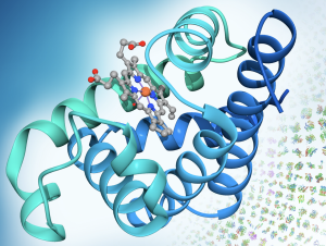 Pdb Structural Biology And Nobel Prizes